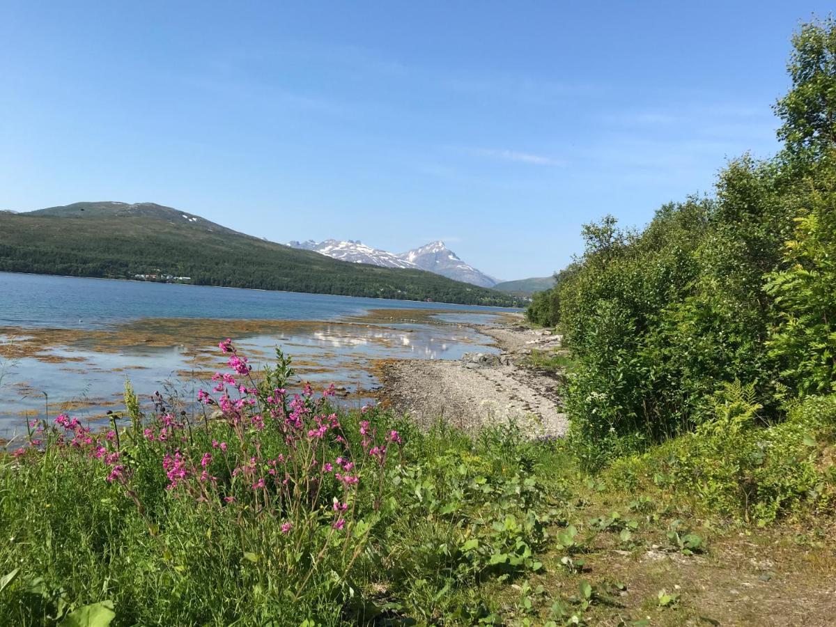 Hotel Hakoyveien 151, Tromsø Esterno foto